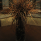 Image for article titled Shooting Challenge: Double Exposure, Gallery 2